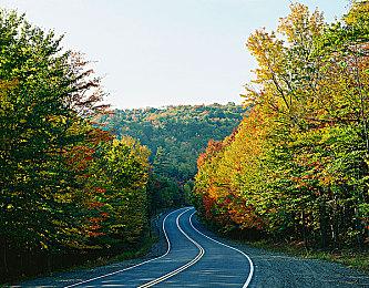 《给他爱OL》DLC公布让玩家不满：我们只想要GTA6